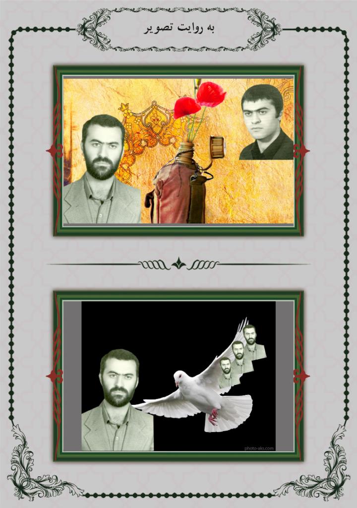 فاقد تصویر